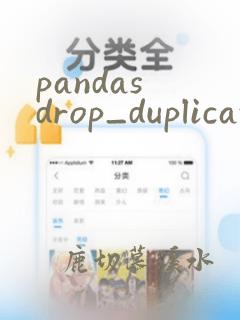 pandas drop_duplicates