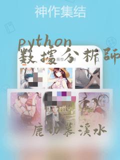 python 数据分析师