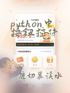 python中按钮控件