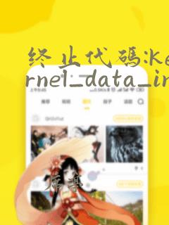 终止代码:kernel_data_inpage_error
