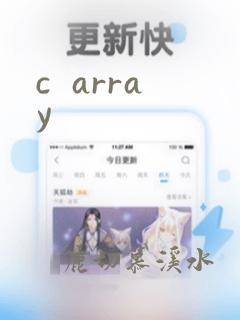 c  array