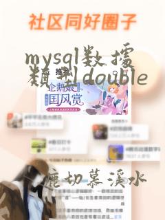 mysql数据类型double