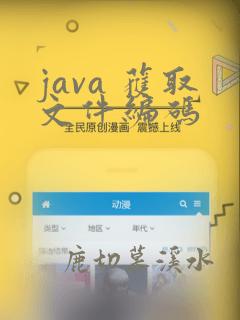 java 获取文件编码