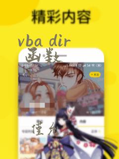 vba dir 函数