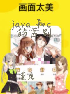 java 和c 的区别