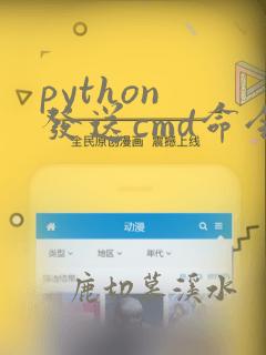 python 发送cmd命令
