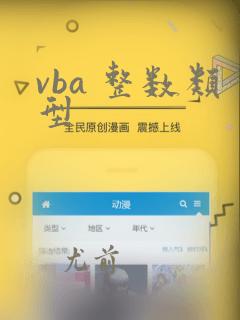 vba 整数类型