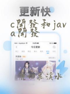 c开发和java开发