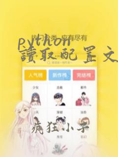 python 读取配置文件