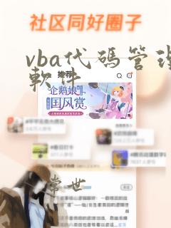 vba代码管理软件