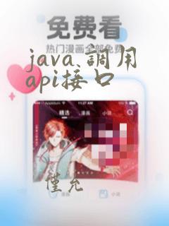 java 调用api接口