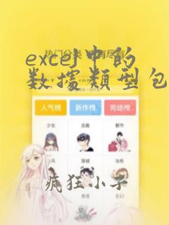 excel中的数据类型包括