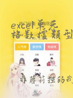 excel单元格数据类型