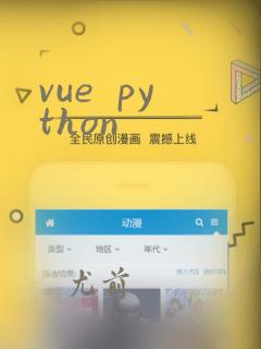 vue python