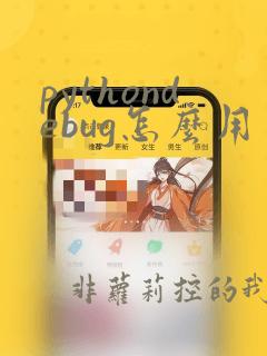 pythondebug怎么用