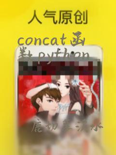 concat函数python