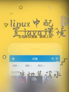linux中配置java环境变量