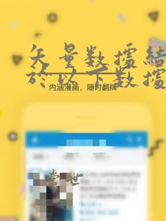 矢量数据结构属于以下数据模型中的
