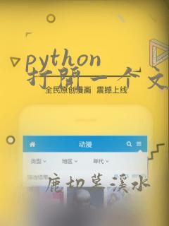 python 打开一个文件