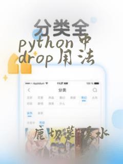 python中drop用法