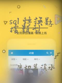 sql 转换数据类型