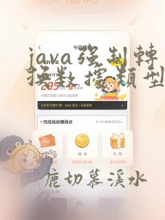 java强制转换数据类型