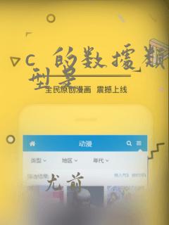 c 的数据类型是