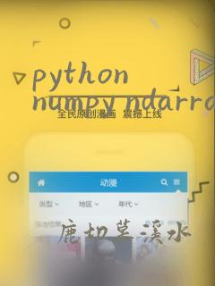 python numpy ndarray