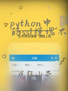 python中的ssl模块不可用