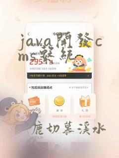 java开发cms系统