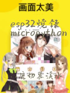 esp32烧录micropython