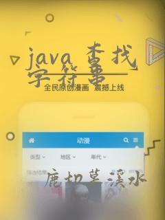 java 查找字符串