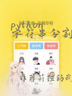 python 字符串分割