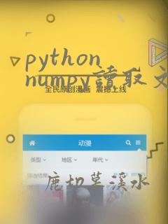 python numpy读取文件