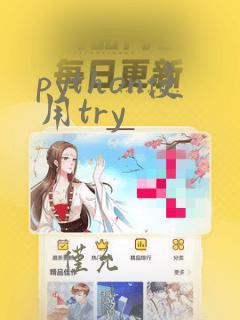python使用try