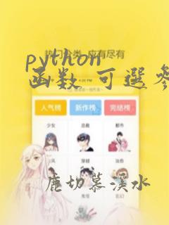 python 函数 可选参数