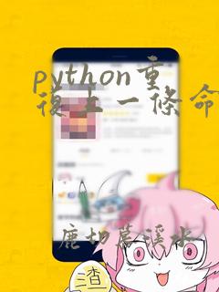 python重复上一条命令的快捷键