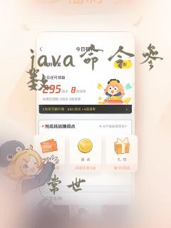 java命令参数