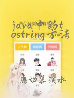 java中的tostring方法