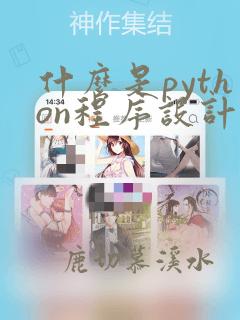 什么是python程序设计