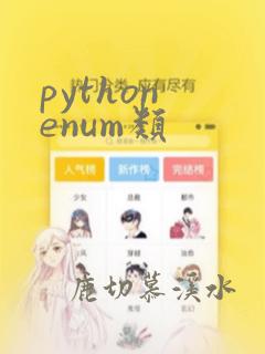 python enum类