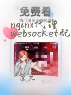 nginx代理websocket配置