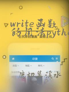write函数的用法python