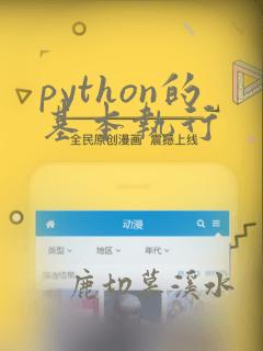 python的基本执行