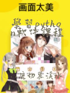 学习python软件课程