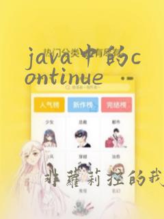java中的continue