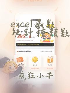excel函数统计种类数量