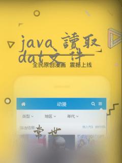 java 读取dat文件