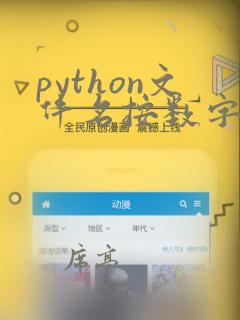 python文件名按数字排序