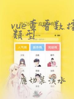 vue查看数据类型